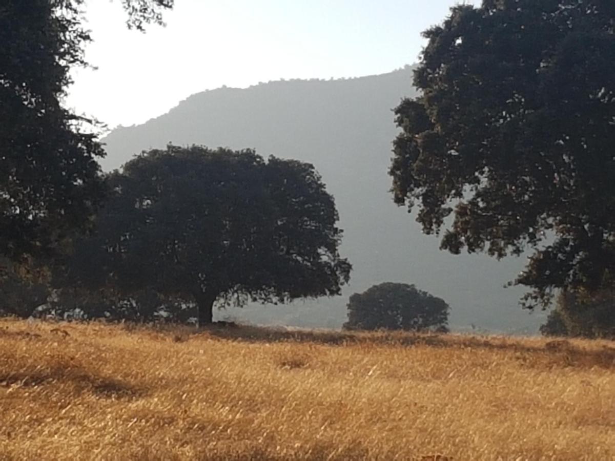 Finca La Rinconada 칼라몬테 외부 사진
